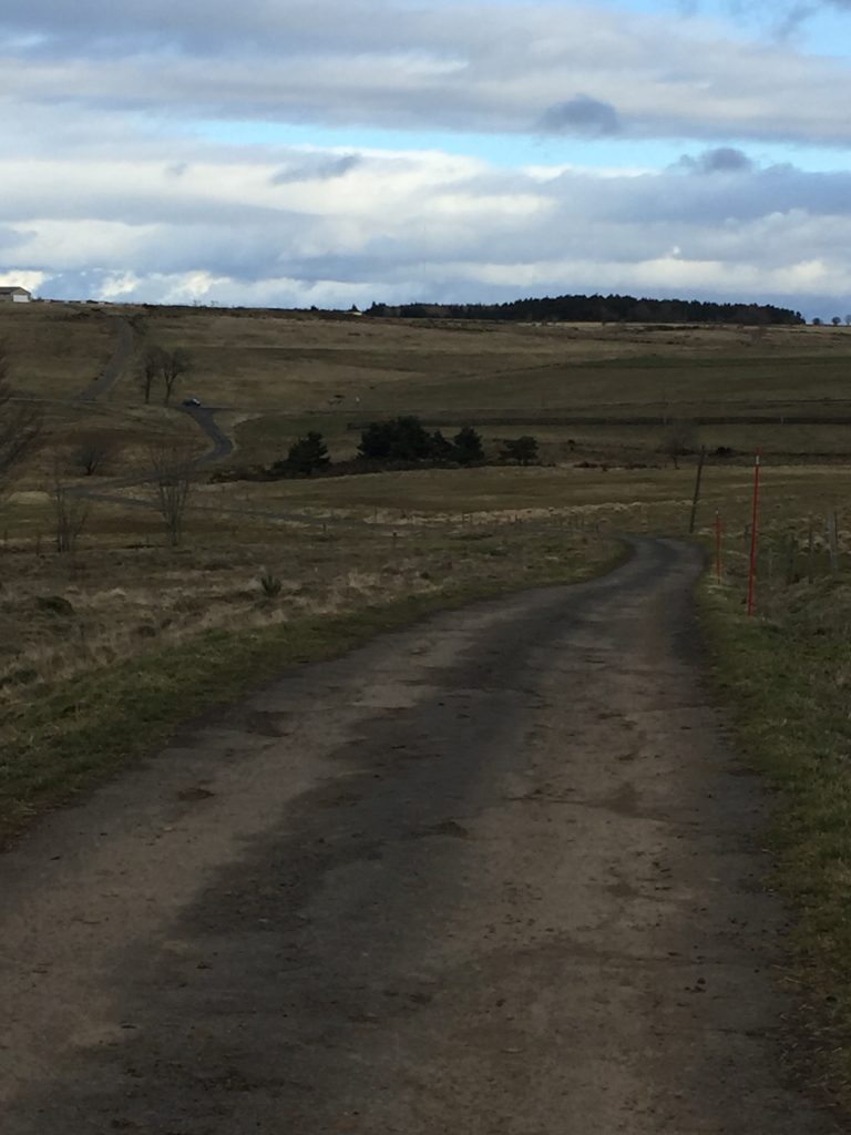 Fay-sur-lignon, le vent, le plateau et les vaches !