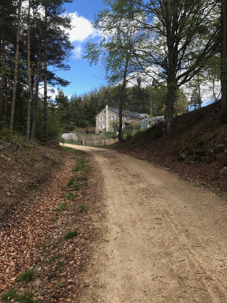 La montée sur saint-Agrève ! Venteuse et délicieuse.